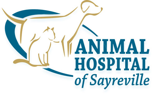 Animal Hospital of Sayreville