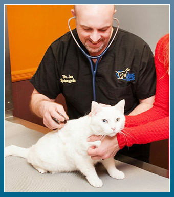 sayreville, nj veterinary services